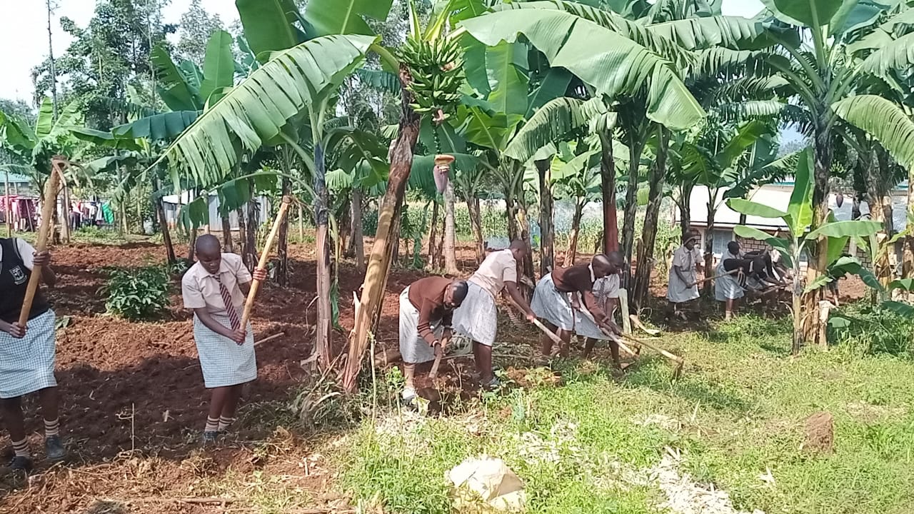 Students engaged in a hands-on science project.